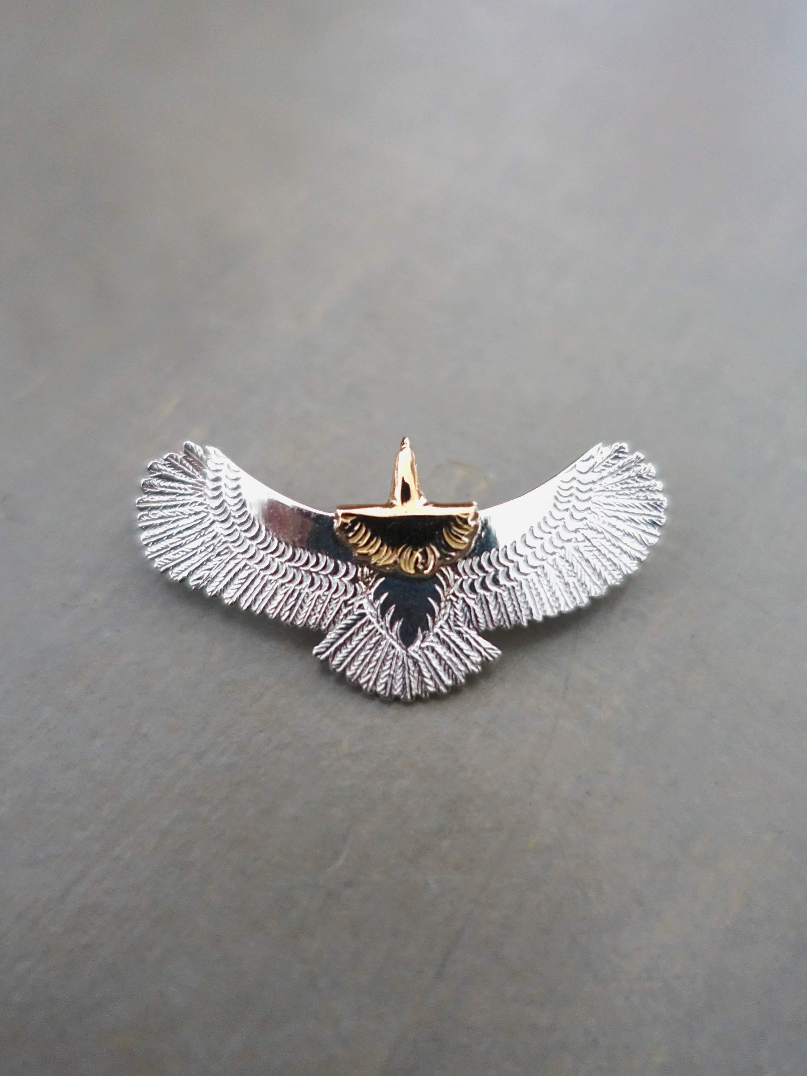 P-595 - Eagle XS