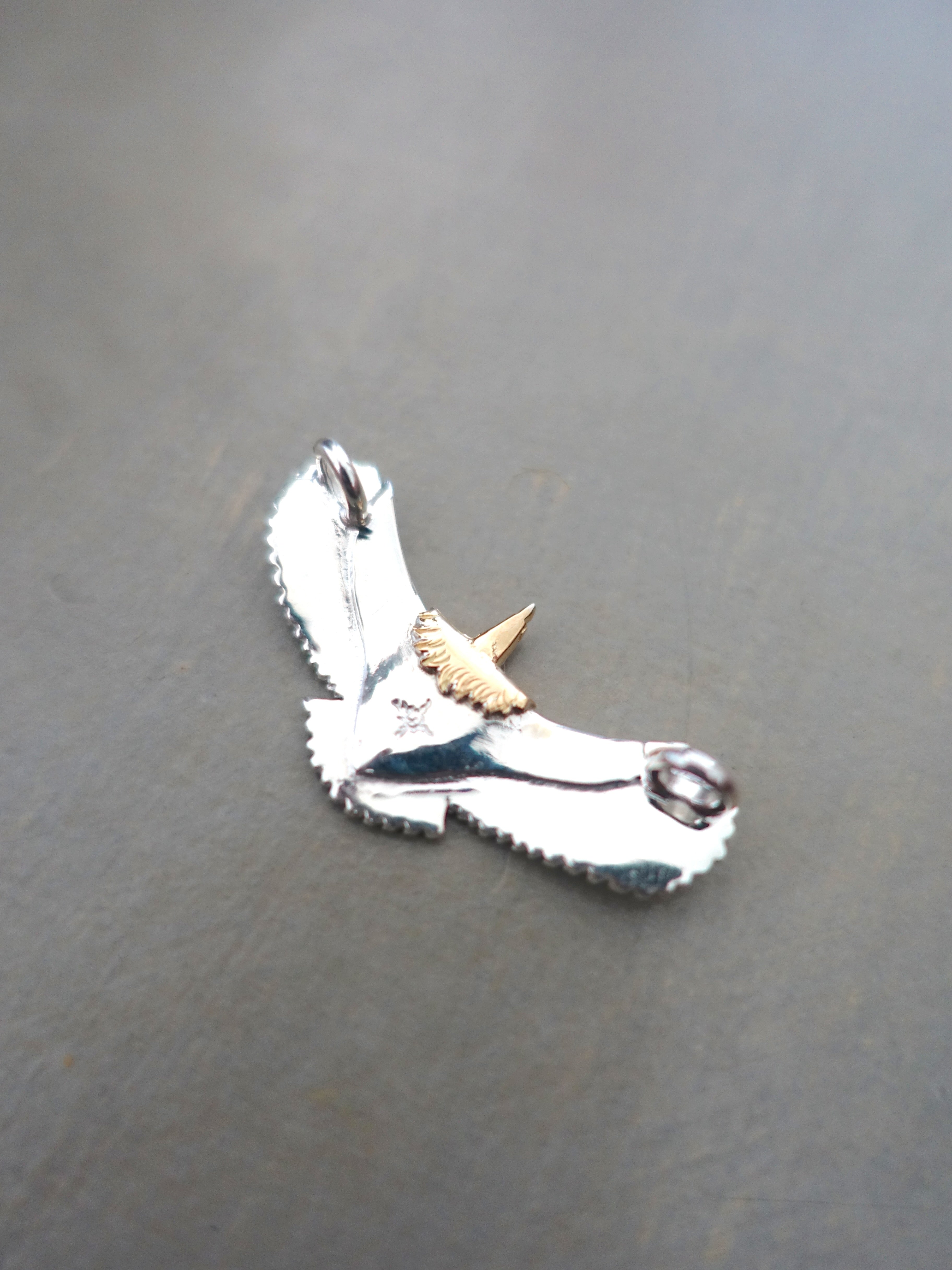 P-595 - Eagle XS