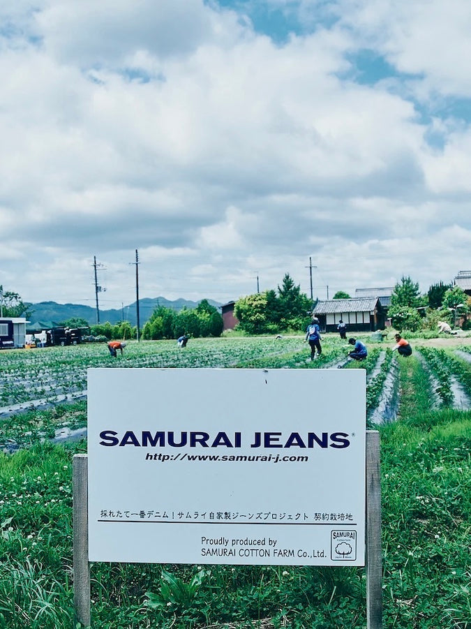 SJST-SC03 - Pocket T-Shirt "SAMURAI COTTON PROJECT" - Produced with Samurai's own cotton - KUROMAME - Black Beans Dyeing