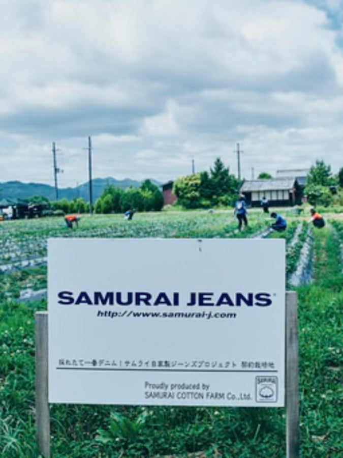 SJST-SC01 - T-Shirt  "SAMURAI COTTON PROJECT" - Produced with Samurai's own cotton - KUROMAME - Black Beans Dyeing